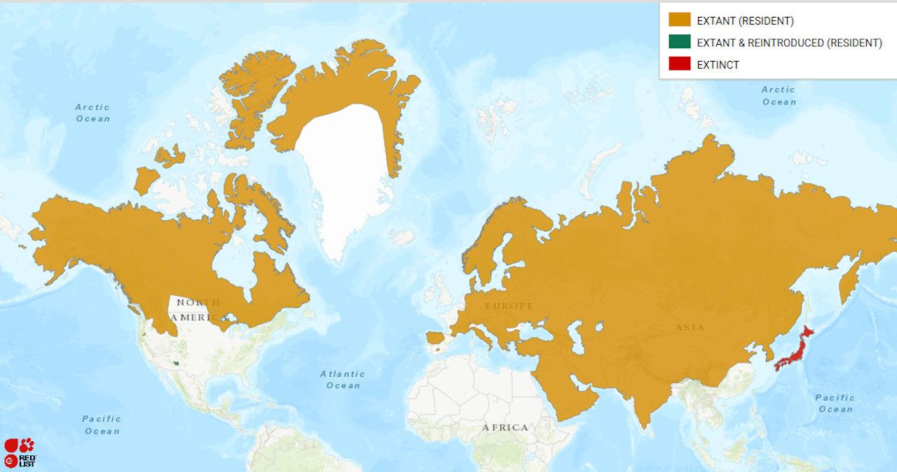 World map with most of the northern hemisphere highlighted, except for a large portion of Greenland, and most of the United States