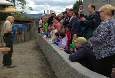 kids looking over barier at zookeeper